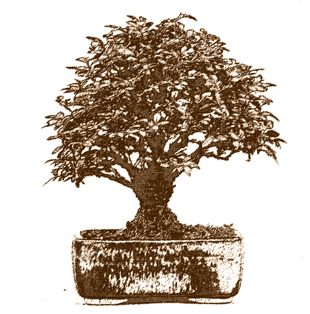 Besenform - Hokidachi