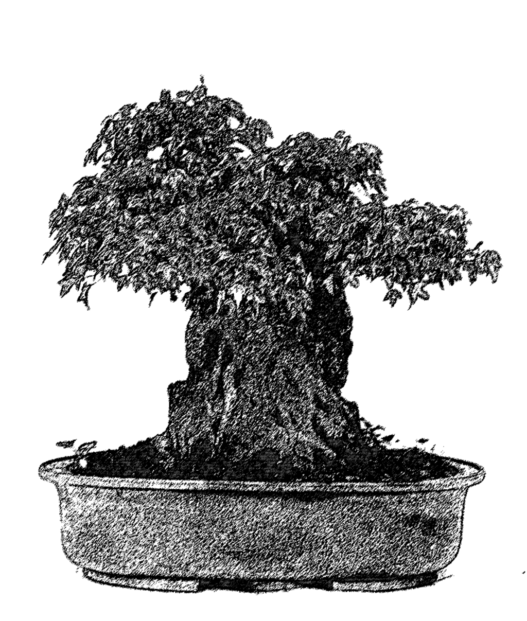 Felsenform über Stein - Seki-joju