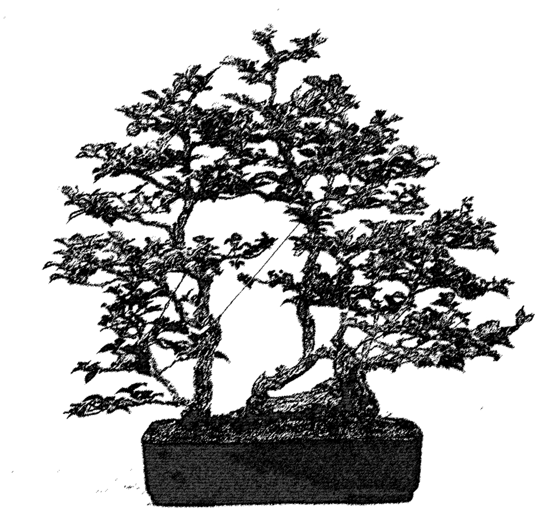 Flossform - Ikadabuki