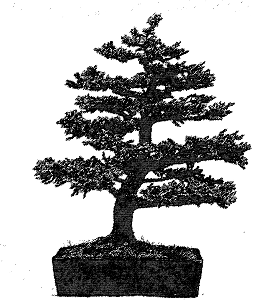 frei aufrecht - Moyogi