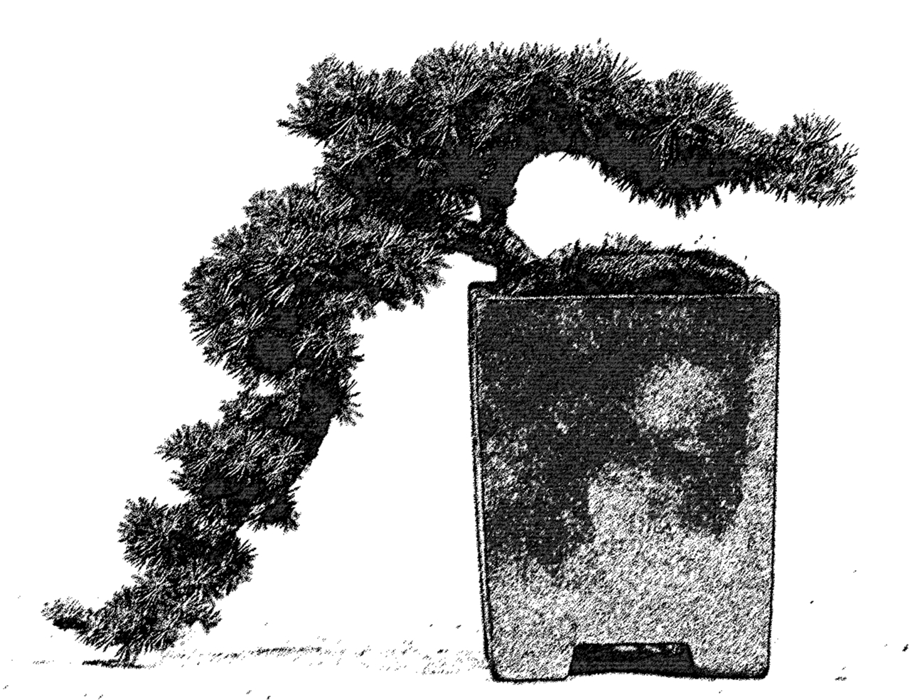 Halbkaskade - Han-kengai