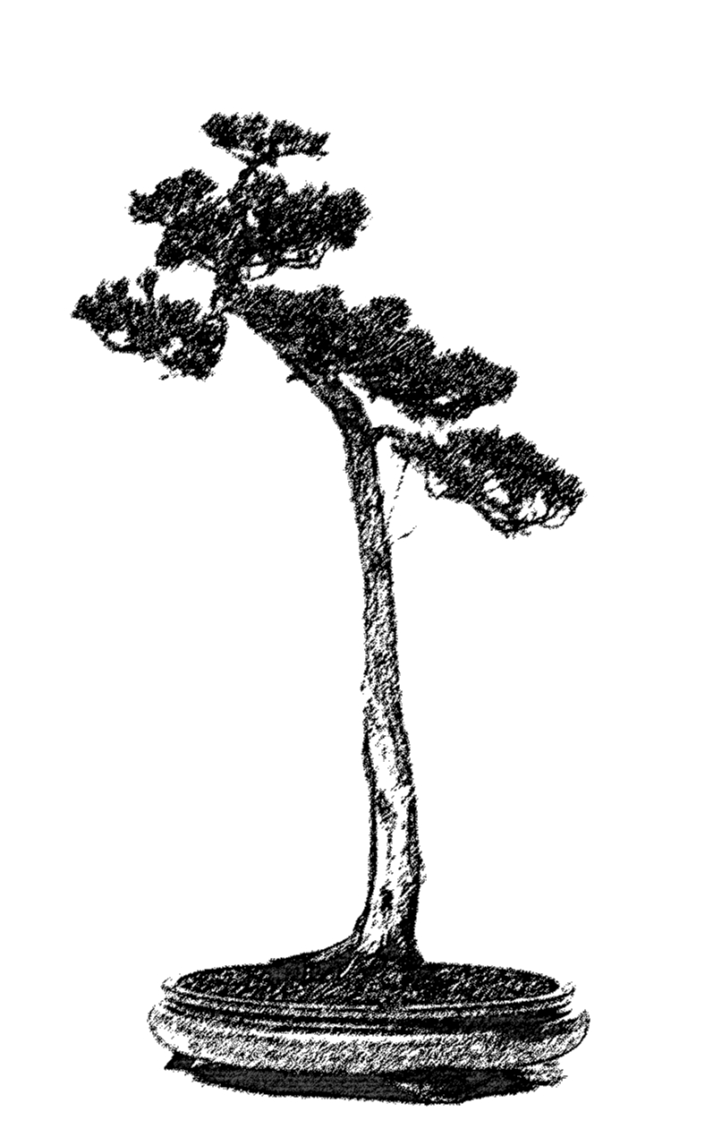 Literaten - Bunjingi