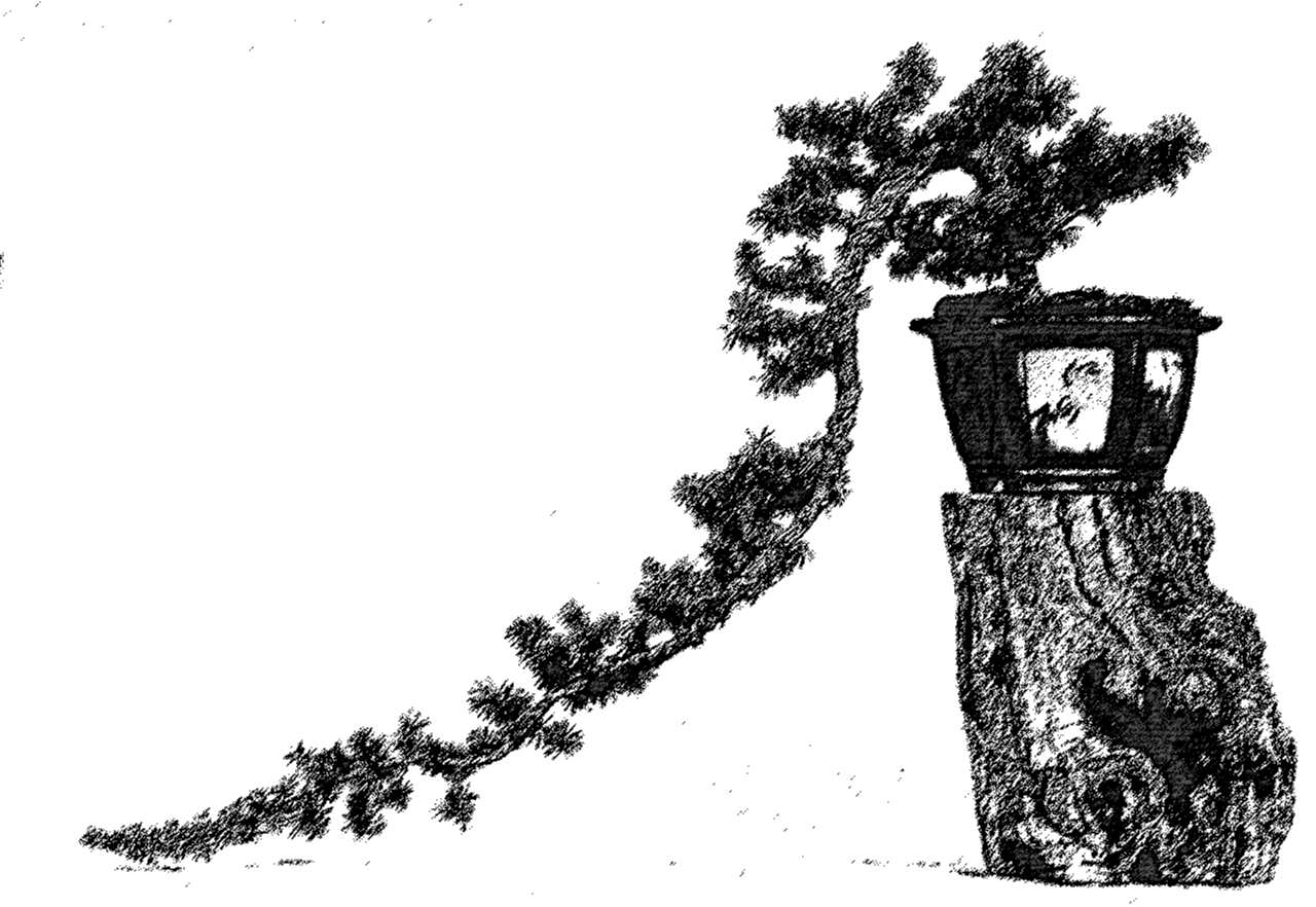 Windgepeitscht - Fukinagashi