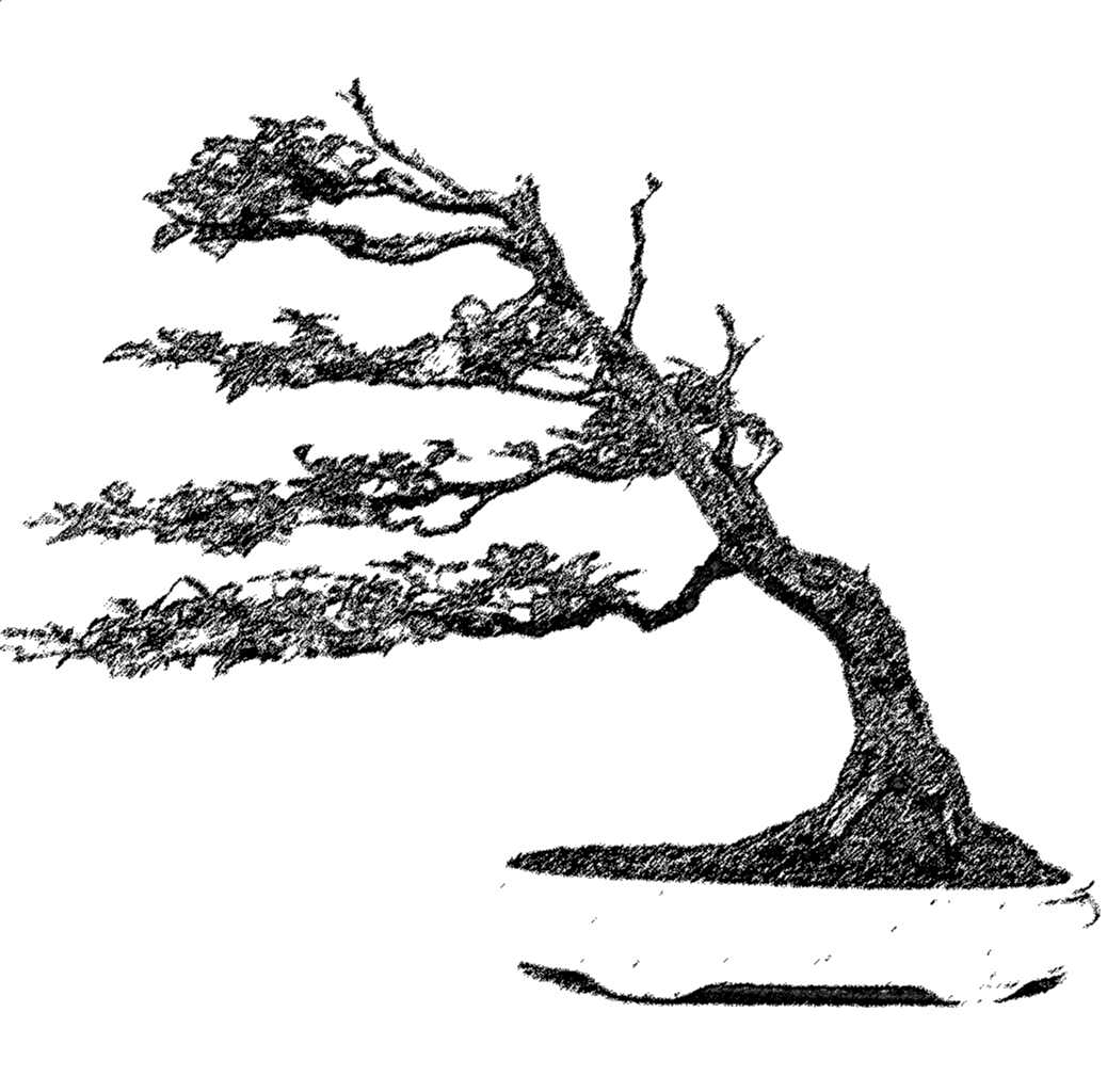 Windgepeitscht - Fukinagashi